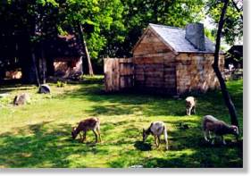 Pioneer Village: Salem 1630